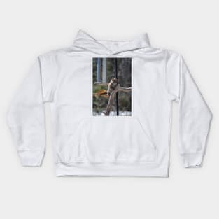 Waiting for Lunch , Squirrel Kids Hoodie